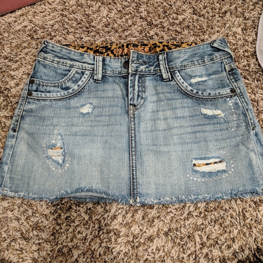 Express skirt